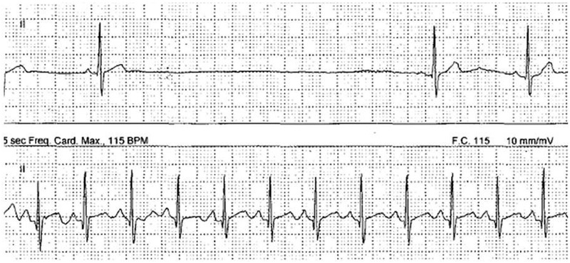 Figure 1