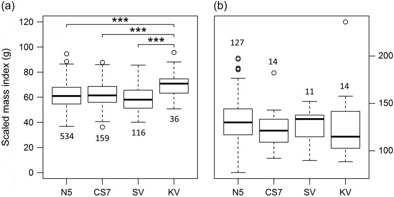 Figure 3: