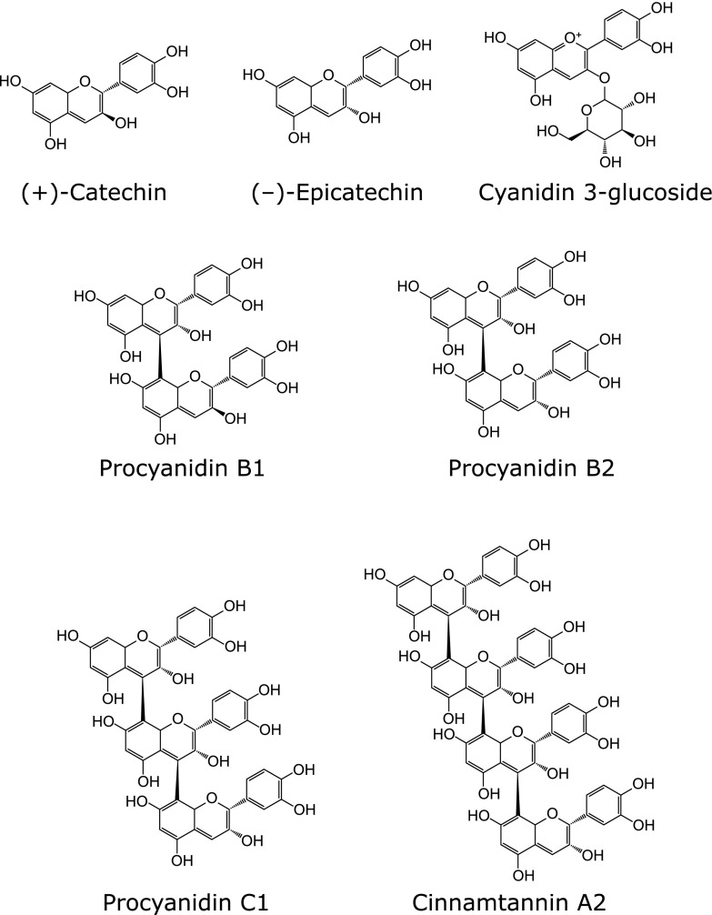 Fig. 1