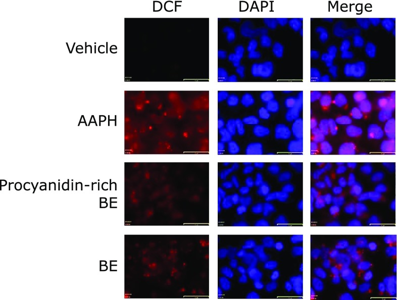 Fig. 4