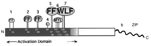 FIG. 1