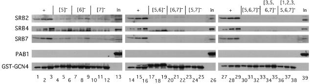 FIG. 5