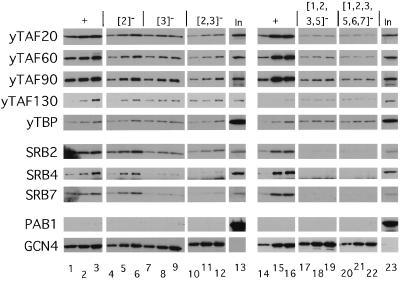 FIG. 6