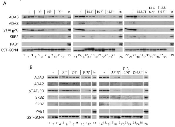 FIG. 7