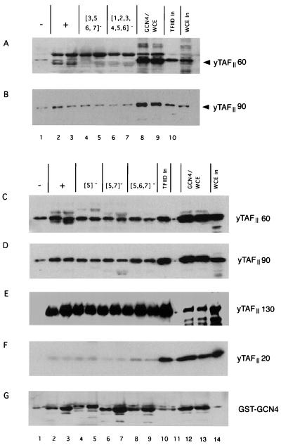 FIG. 8