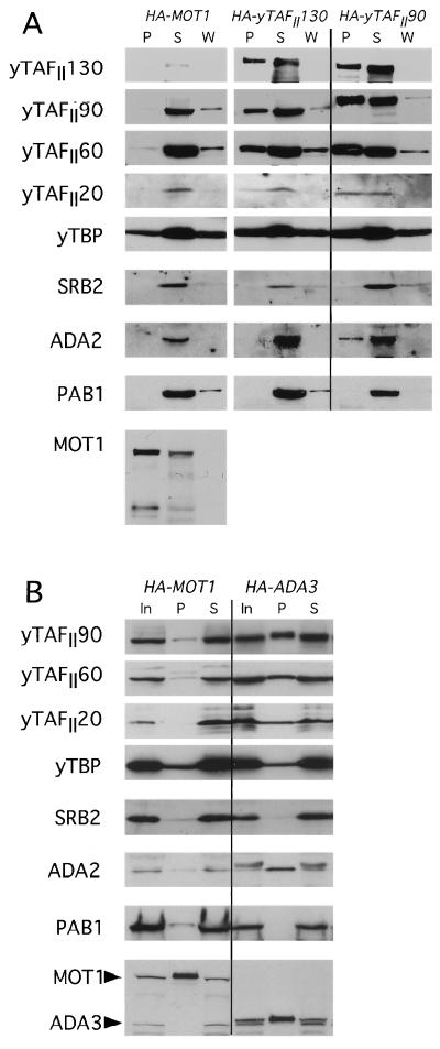 FIG. 10