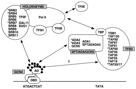 FIG. 11