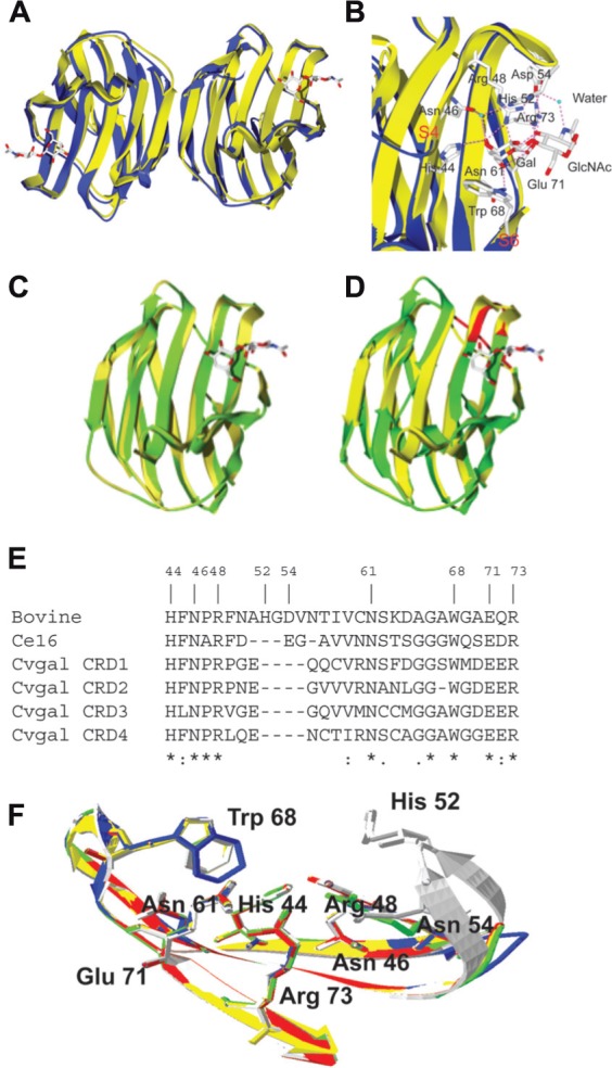 FIGURE 4