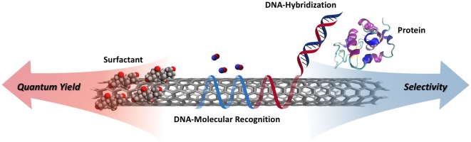 GRAPHICAL ABSTRACT