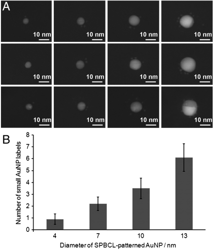 Fig. 4.