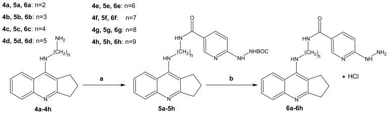 Scheme 3