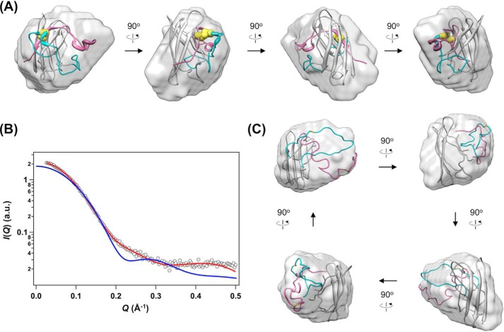 FIGURE 5.