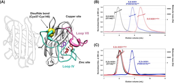 FIGURE 1.