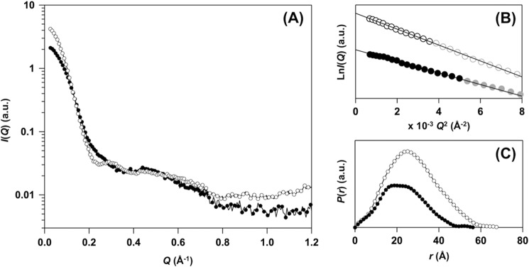 FIGURE 4.