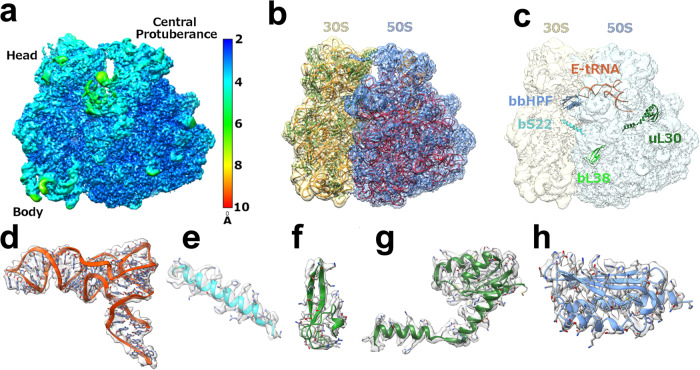 Fig. 1