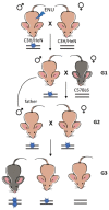 Figure 14