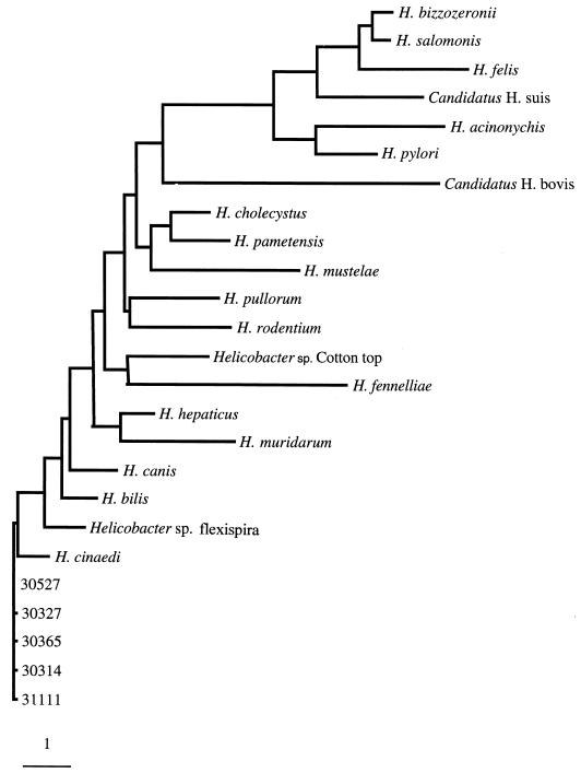 FIG. 2.