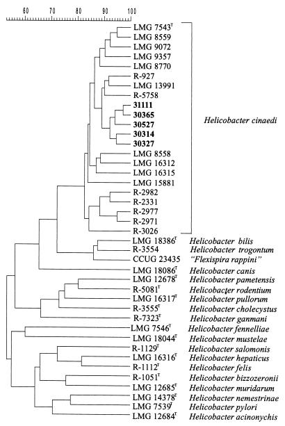 FIG. 4.