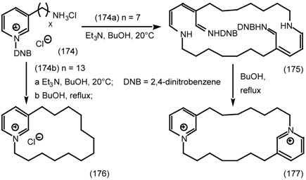 graphic file with name molecules-06-00142-i052.jpg