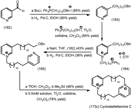 graphic file with name molecules-06-00142-i054.jpg