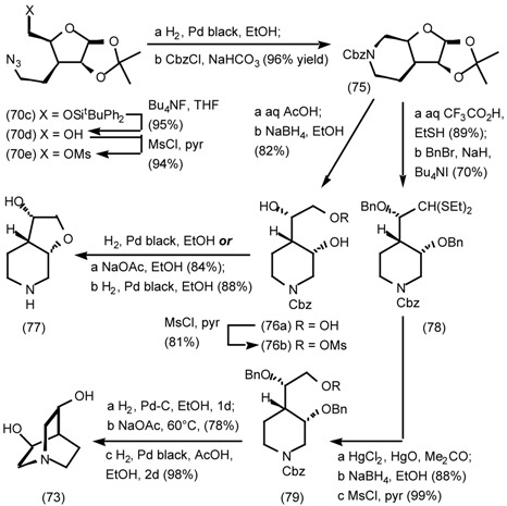 graphic file with name molecules-06-00142-i024.jpg