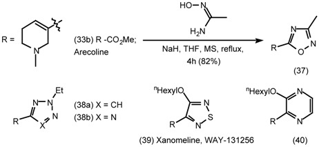 graphic file with name molecules-06-00142-i015.jpg