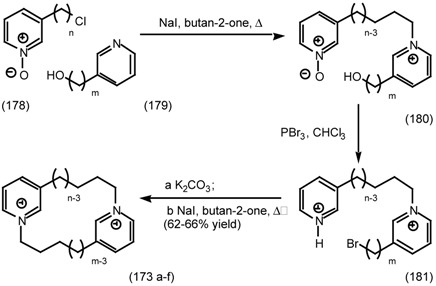 graphic file with name molecules-06-00142-i053.jpg