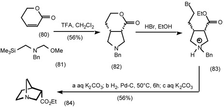 graphic file with name molecules-06-00142-i025.jpg