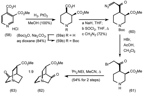 graphic file with name molecules-06-00142-i020.jpg