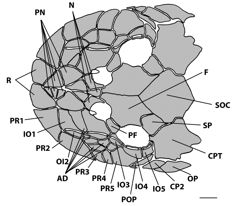 Figure 5.