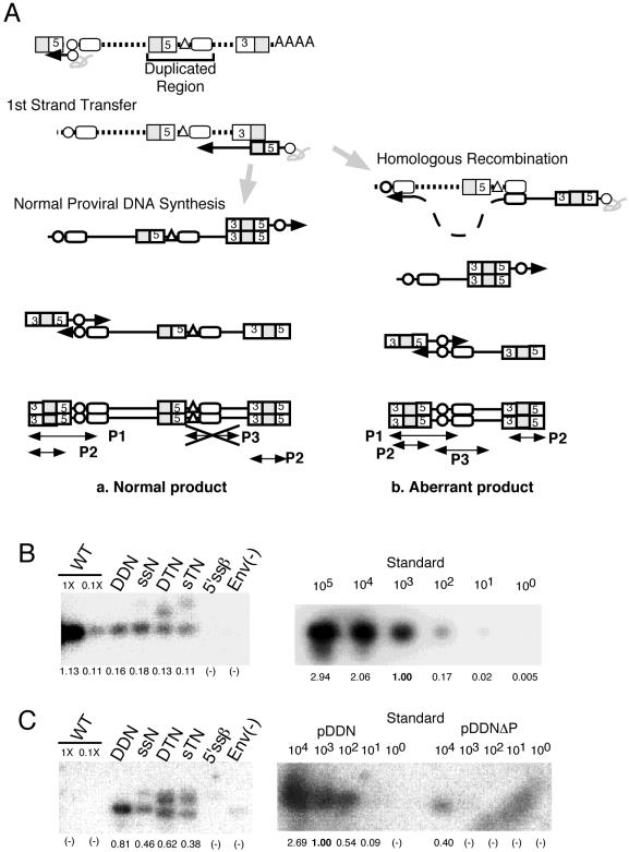 FIG. 4.