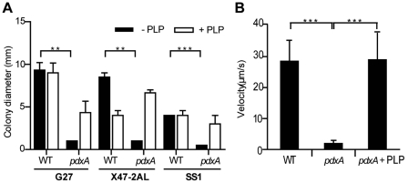 FIG 4 