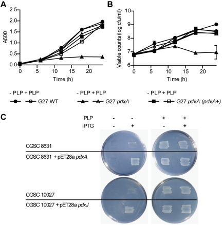 FIG 2 