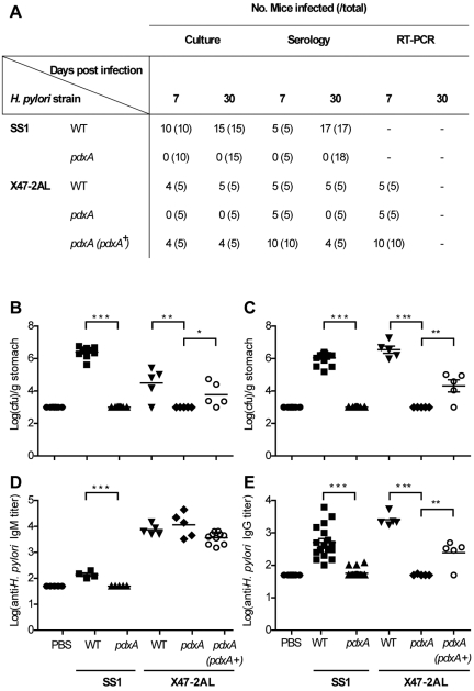 FIG 3 