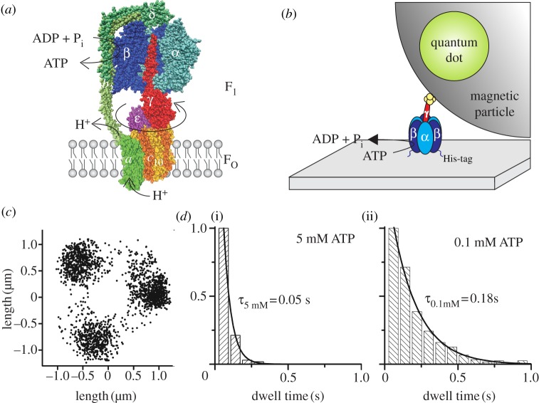 Figure 1.