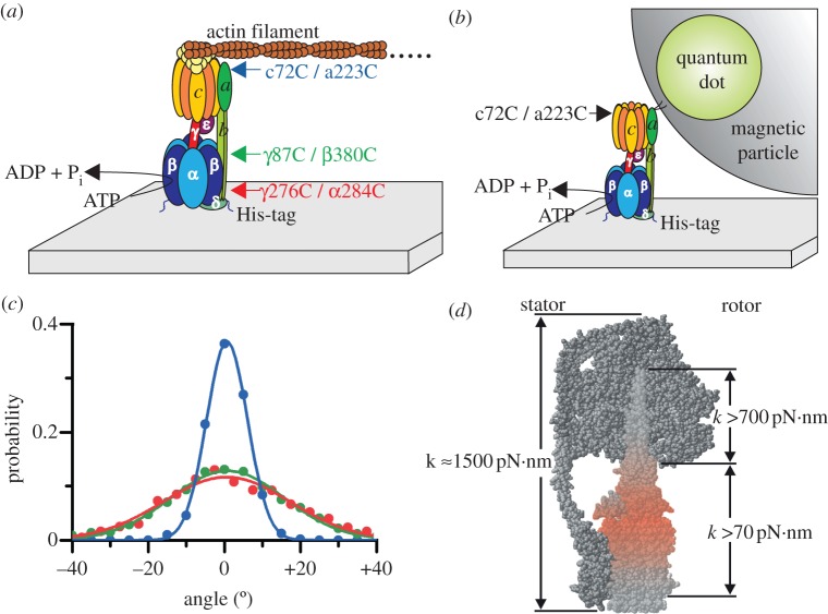 Figure 3.