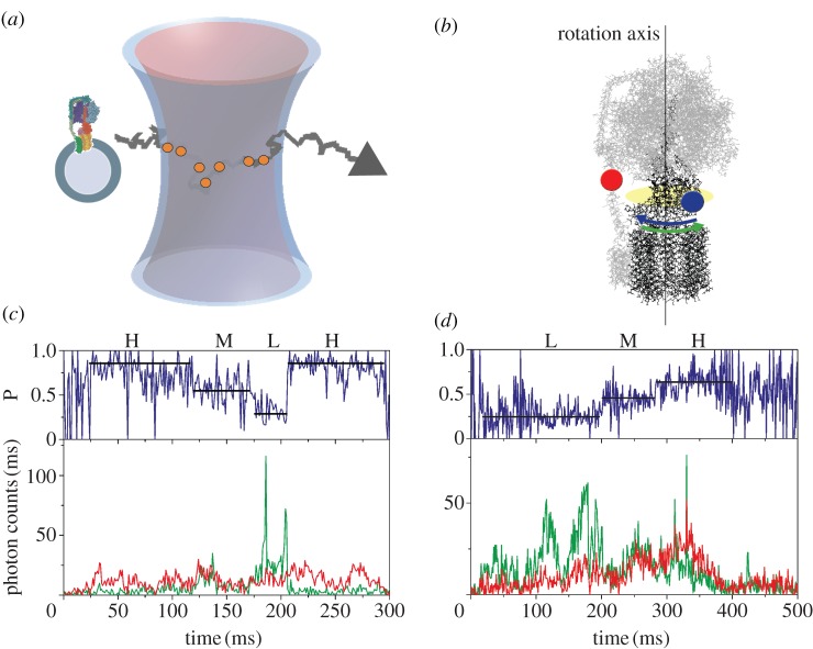 Figure 2.