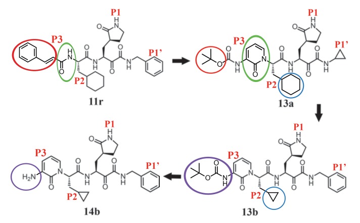 Fig. 1