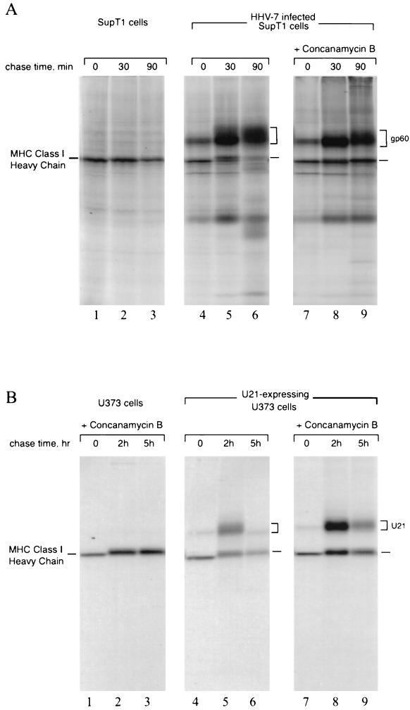 FIG. 5