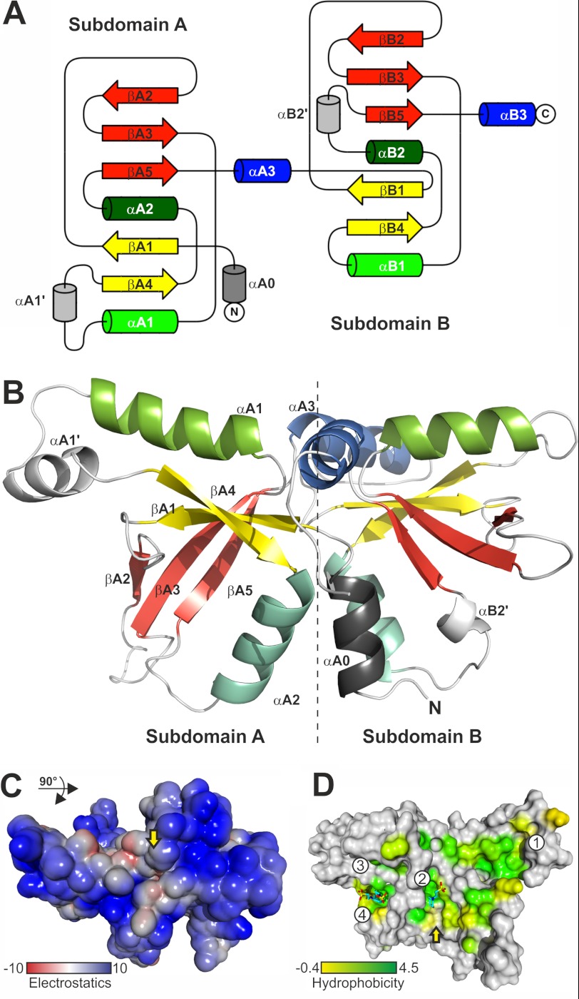 FIGURE 5.