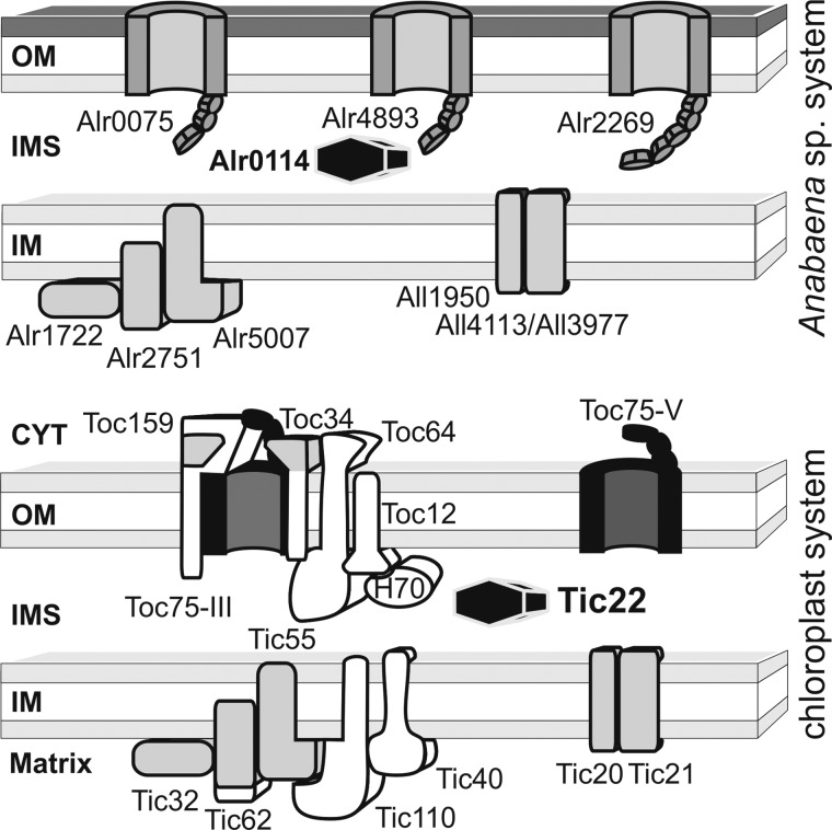 FIGURE 1.