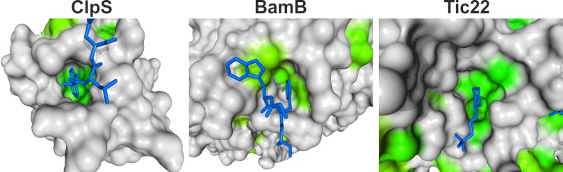 FIGURE 7.