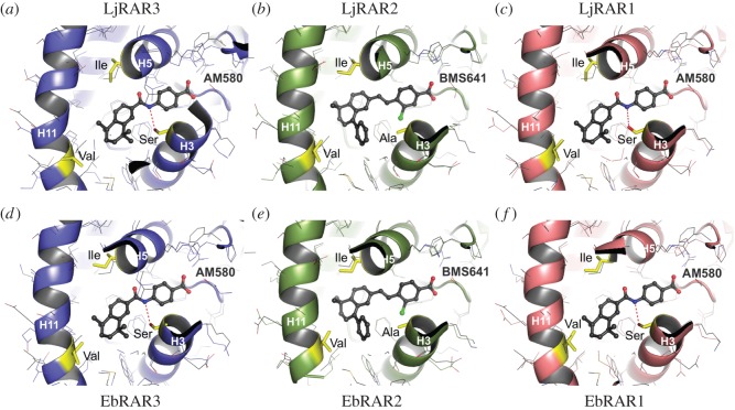 Figure 4.