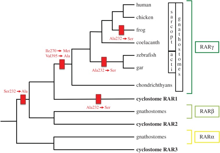 Figure 6.