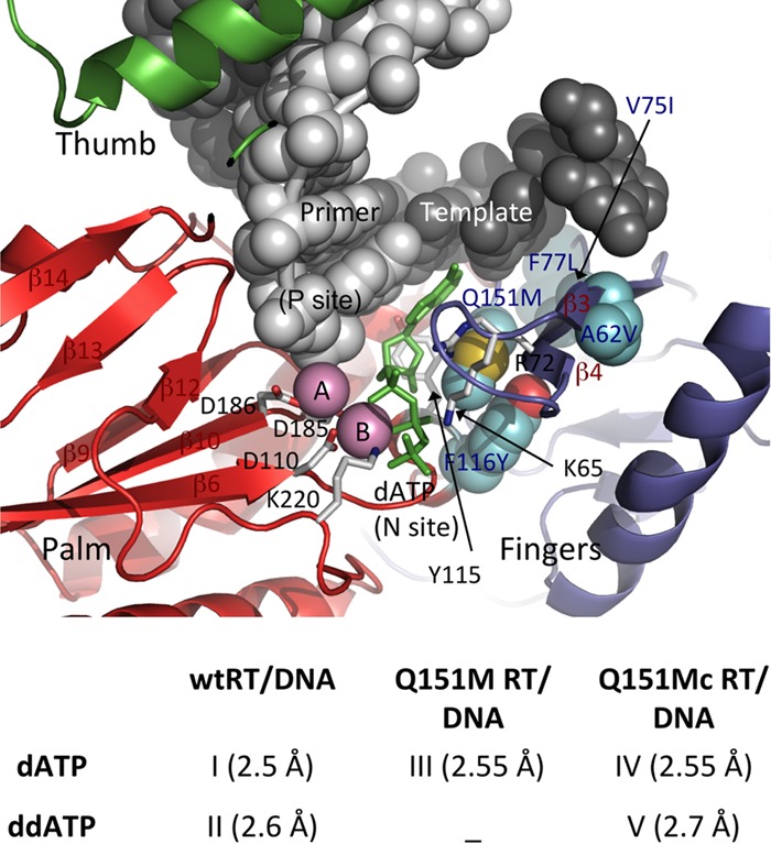 FIG 1