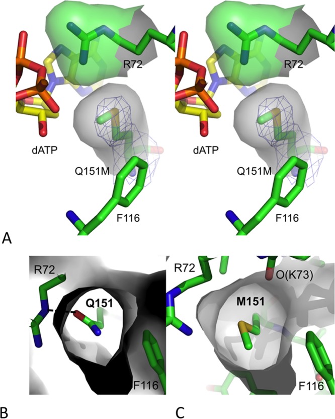 FIG 3