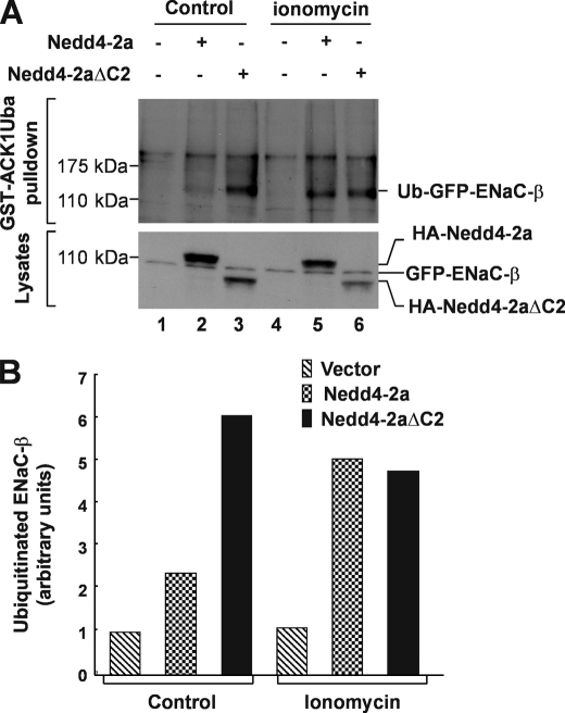 FIGURE 4.