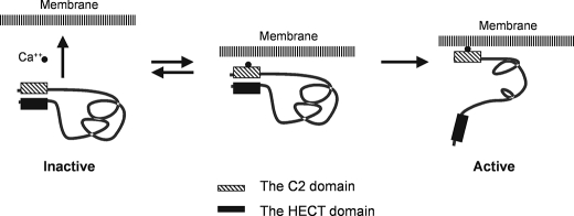 FIGURE 7.