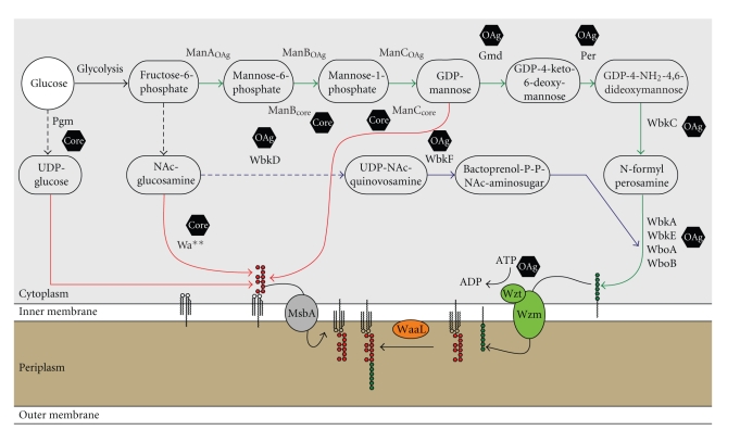 Figure 4