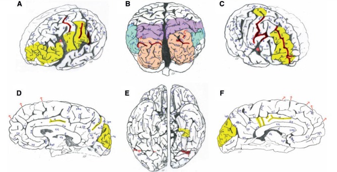 Figure 10